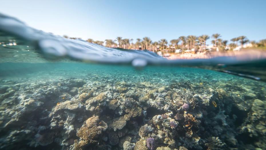 Four Seasons Resort Sharm El Sheikh Private Residential Villa & Chalet - Egypt Bagian luar foto